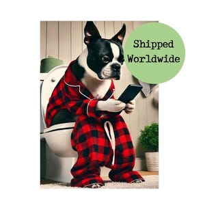 Boston terrier pyjamas hotsell