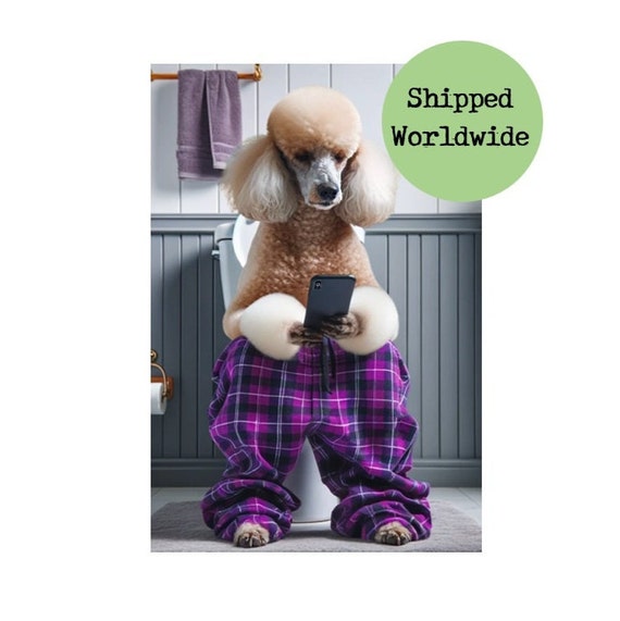 Poodle Pants - Standard White Poodle Pants - Standard White