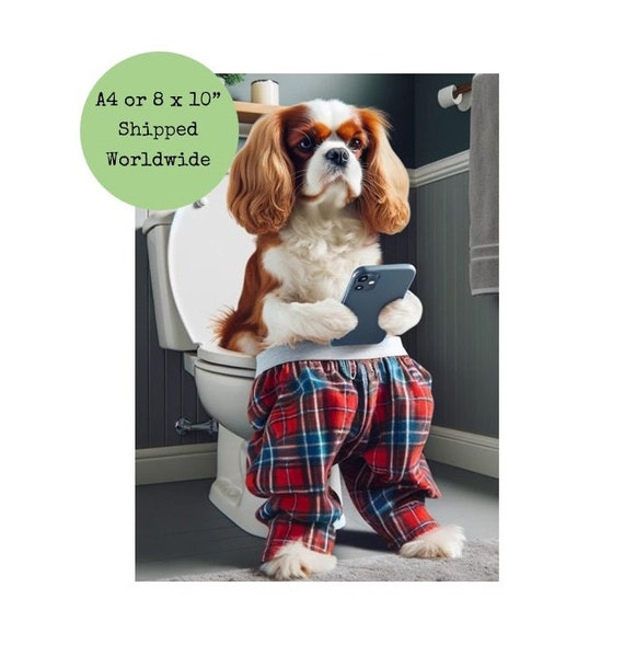 Cavalier King Charles Spaniel Pants - All Cavalier King Charles Spaniel Pants - All