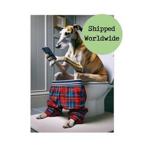 Lurcher zittend op toilet met mobiele telefoon print grappige hond met mobiele telefoon dier Schotse ruit foto badkamer toilet toilet muur kunst teken cadeau