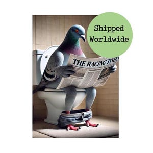 Duif zittend op toilet krant lezen print grappige vogel foto badkamer ensuite muur kunst citaat teken postduif liefhebber cadeau