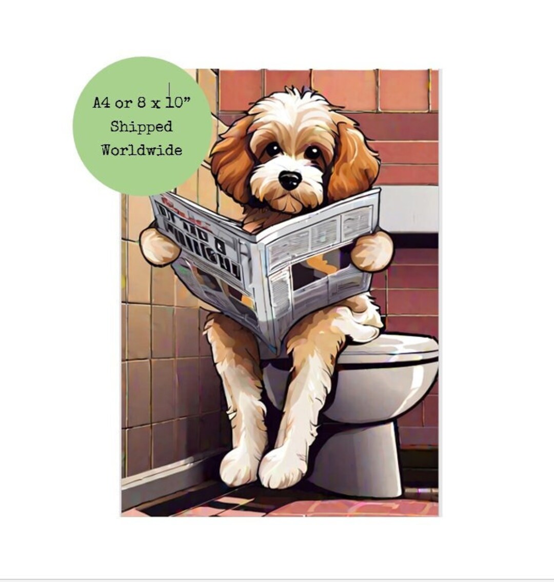 Funny cavapoo videos sale