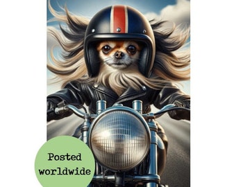 Long Haired Chihuahua Riding Motorbike Print Funny Dog Picture Union Jack Animal in Clothes Biker Wall Art Motorcycle Gift Sign Man Cave Bar