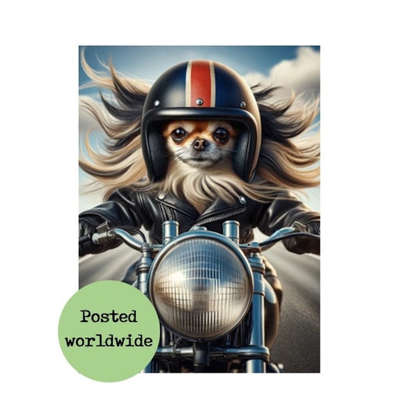 Long Haired Chihuahua Riding Motorbike Print Funny Dog Picture Union Jack Animal in Clothes Biker Wall Art Motorcycle Gift Sign Man Cave Bar