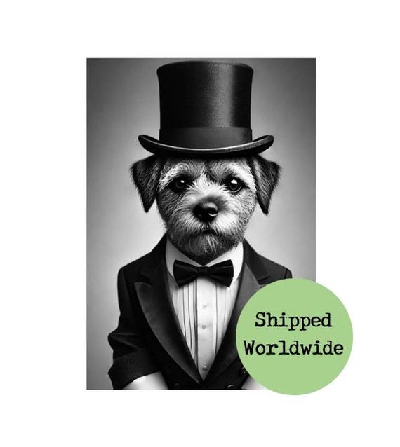 Border Terrier Wearing Top Hat Tails Dog in Tuxedo Bow Tie
