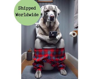 Silver Labrador Sitting on Toilet with Mobile Phone Print - Silver Lab with Cell Phone Funny Dog Animal Picture Bathroom Wall Art Sign Gift
