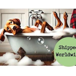 Hungarian Vizsla In Bath Print - Funny Dog in Vintage Bath Tub Bathroom Picture Animal Toilet Quote Wall Art Loo Ensuite Sign Gift Portrait
