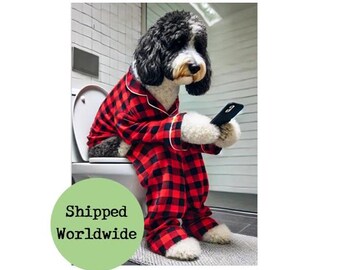 May include: A black and white dog wearing red and black plaid pajamas sits on a white toilet and looks at a black smartphone.