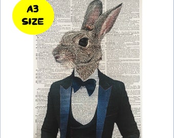 A3 Hare Print Vintage Dictionary Page Art Picture Rabbit Animal In Clothes Suit 