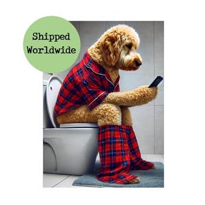 May include: A golden-brown dog wearing red and black plaid pajamas sits on a white toilet, looking at a smartphone.
