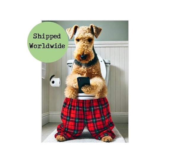 Irish Terrier Pants Irish Terrier Pants