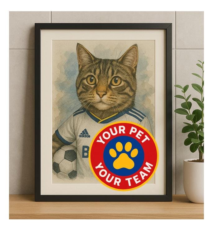 Football Club Liverpool Football Kits For Dogs Cat Wearing