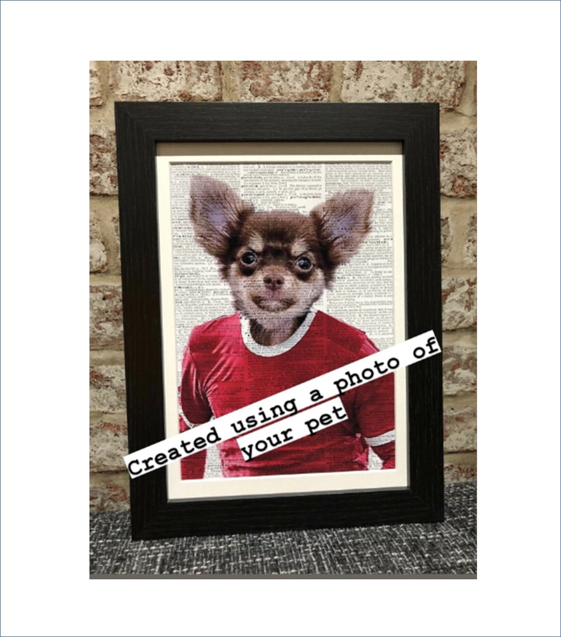 liverpool dog coat small