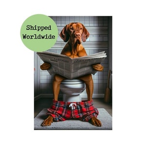 Hungarian Vizsla On Toilet Reading Newspaper Print Funny Dog Sitting on Loo Picture Animal Tartan PJs Bath Bathroom Wall Art Sign 8 x 10 A4