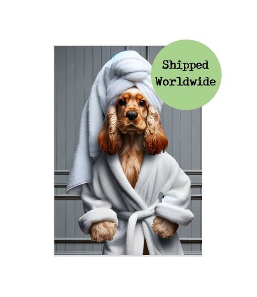Cocker spaniel dressed up hotsell