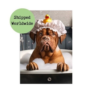 Print Bordeauxdog in bad - grappige hond in vintage badkuipfoto - bord badkamer toilet toilet en suite muurkunst - dierlijke rubberen eend