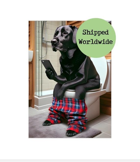 Black Labrador Pants Black Labrador Pants