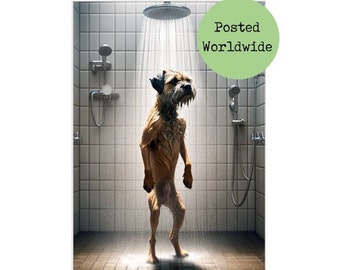 Franse Buldogzitting Op Een Toiletzetel Met De Krant Stock Foto - Image of hoofd, vriend: 154395824