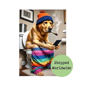 Peut inclure: Un chien golden retriever portant un bonnet bleu et orange est assis sur des toilettes, tenant un smartphone et fumant une cigarette. Le chien porte un pantalon rayé arc-en-ciel.