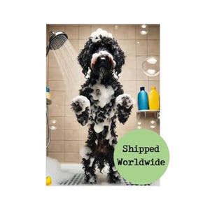 Lustige schwarze Cockapoo Wandkunst - Hund in der Dusche mit Blasen Druck, schrullige Badezimmerdekoration, humorvolles Goldendoodle Pudel-Haustier-Liebhaber-Geschenk