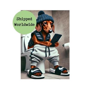 Dachshund Sitting on Toilet on Mobile Phone Print - Cool Sausage Dog in Clothes - Funny Animal Loo Ensuite Bathroom Wall Art Picture Sign