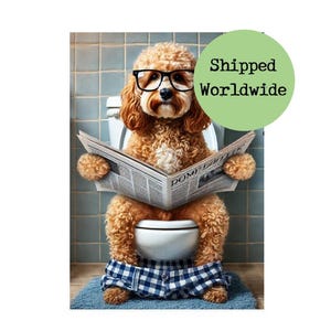 Peut inclure: Un chien brun et blanc portant des lunettes et une chemise à carreaux bleus et blancs est assis sur des toilettes blanches et lit un journal. Le chien est assis sur un tapis de salle de bain bleu et blanc.