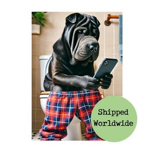 May include: A black dog wearing red and black checked pyjama bottoms sits on a white toilet and looks at a black smartphone.
