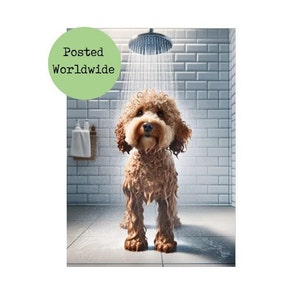 Cockapoo i duschen - Rolig Cockerpoo hund i badrummet - Djur på toaletten - Väggkonst för badkarsskylt - Present - Ensuite - Present