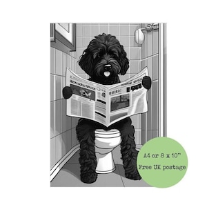 Könnte beinhalten: Schwarzweiß-Illustration eines Hundes, der auf einer Toilette sitzt und eine Zeitung liest. Die Schlagzeile der Zeitung lautet "Herald Sun".