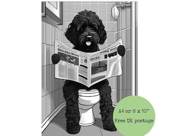 Black and White Cockapoo On Toilet Reading Newspaper Print - Cockerpoo Sitting on Loo - Funny Dog Picture Bathroom Wall Art Sign 8 x 10 A4