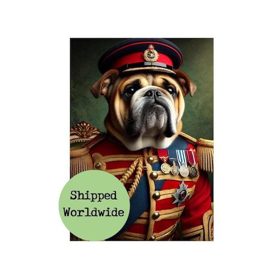 British Bulldog Regal Portrait Dog in British Military Uniform