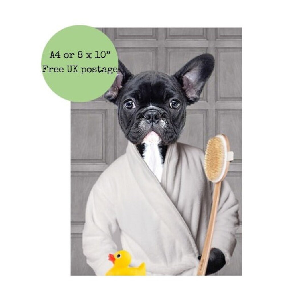 French Bulldog Wearing Dressing Gown Funny Frenchie Bathroom Print Dog