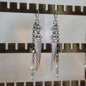 May include: A pair of dangle earrings with a unique design. Each earring features a chain with a pearlescent, tooth-shaped pendant, a small pearl, and a silver-colored chain. The earrings are displayed on a gold-colored earring stand.