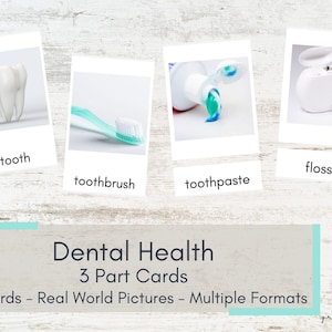 Dental Hygiene 3 Part Cards - Real World Pictures - Montessori Cards - Printable Nomenclature Cards