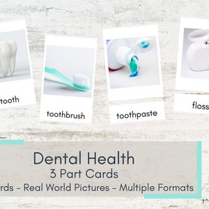 Dental Hygiene 3 Part Cards - Real World Pictures - Montessori Cards - Printable Nomenclature Cards