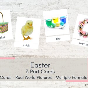 Cartões de Páscoa em 3 partes - Imagens do mundo real - Cartões Montessori - Cartões de nomenclatura para impressão