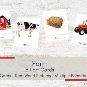 Farm 3 Part Cards - Real Pictures - Montessori Cards - Printable Nomenclature Cards - Preschool ELL Word Wall - Farm Animals Vocabulary