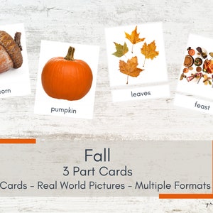 Otoño Otoño Tarjetas de 3 partes - Imágenes del mundo real - Tarjetas Montessori - Tarjetas de nomenclatura imprimibles