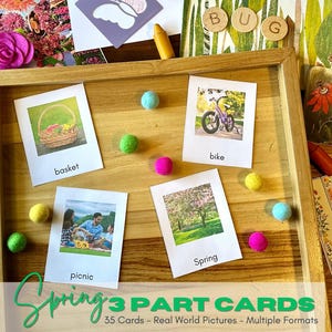 Spring 3 Part Cards - Real World Pictures - Montessori Cards - Printable Nomenclature Cards
