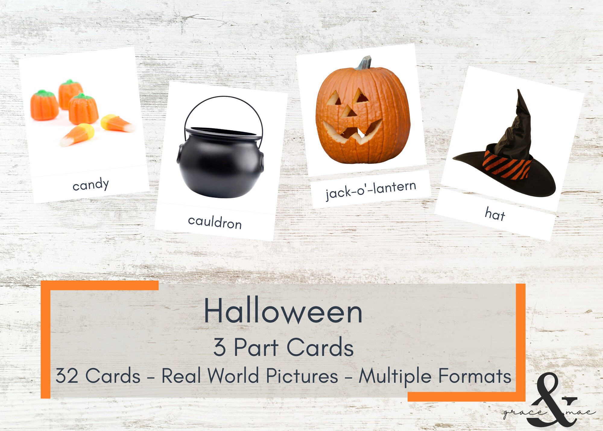 Halloween 3 Part Cards Real World Pictures Montessori Cards Printable Nomenclature Cards Etsy