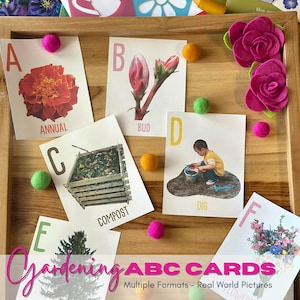 Könnte beinhalten: Ein Satz bunter Alphabetkarten mit Gartenmotiven und Wörtern. Die Karten sind auf einer Holzoberfläche mit rosa und grünen Filzkugeln angeordnet. Die Karten beinhalten die Buchstaben A bis F mit Wörtern wie "jährlich", "Knospe", "Kompost", "graben" und "Blume".