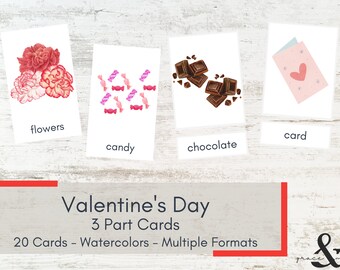 Valentine's Day Watercolor 3 Part Cards – Montessori Printables (PDF)