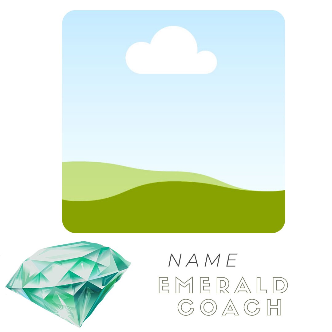 Emerald Coach Recognition Etsy