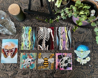 May include: Set of eight 3.5x5 inch art prints featuring various illustrations. The prints include a moth, a bee, a skull with flowers, a skeleton, a moth with a moon, and two abstract patterns. The prints are all painted in a colorful style.