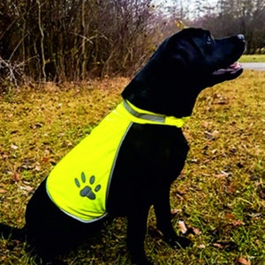 Puede incluir: Un Labrador Retriever negro con un chaleco de seguridad amarillo brillante con un logotipo de huella de pata. El chaleco tiene tiras reflectantes para mayor visibilidad.
