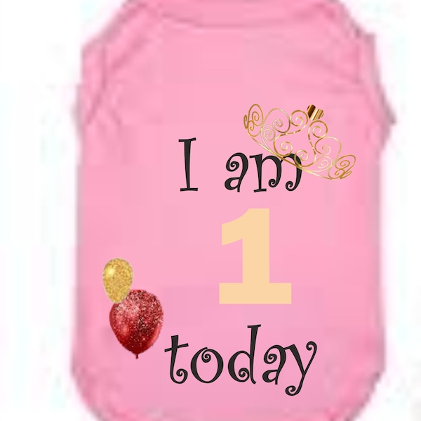 Dog Tshirt Birthday I am x today special occasion any age Cat tshirt