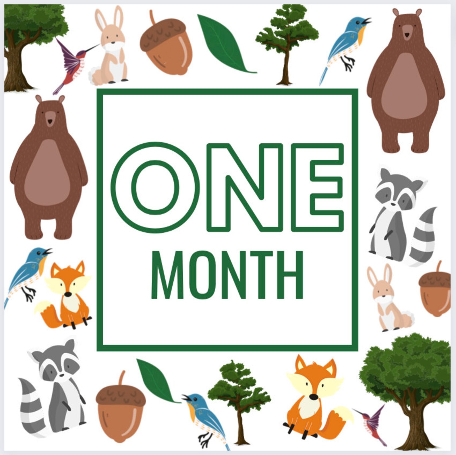 Baby's First Year Milestones Baby Printable Picture Cards Forest Animal ...
