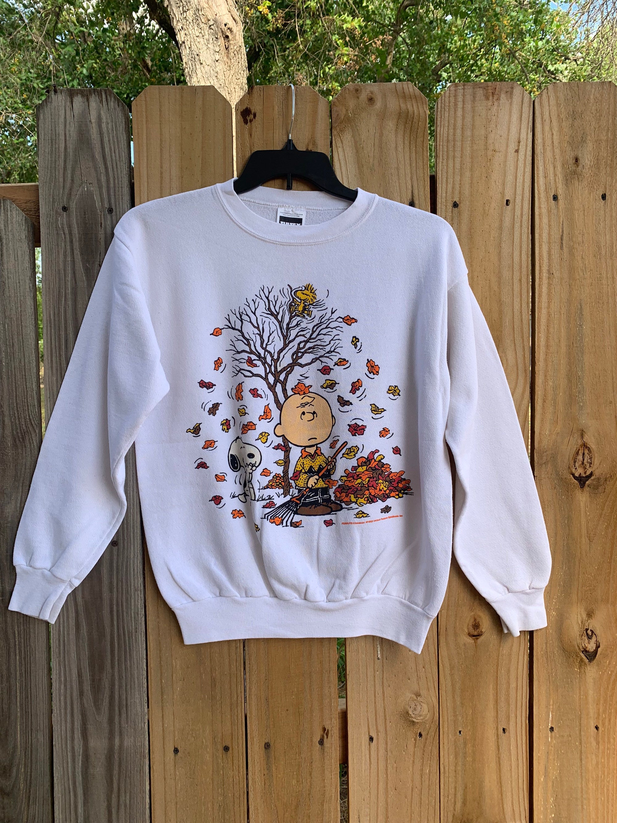 Discover Vintage 90er Peanuts Herbst Snoopy und Charlie Brown Pullover