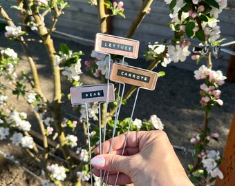 Könnte beinhalten: Eine Hand hält vier Metall-Pflanzenmarker mit schwarzen Etiketten. Die Etiketten lauten "Salat", "Karotten", "Erbsen" und "Radieschen". Die Marker befinden sich vor einem blühenden Apfelbaum.