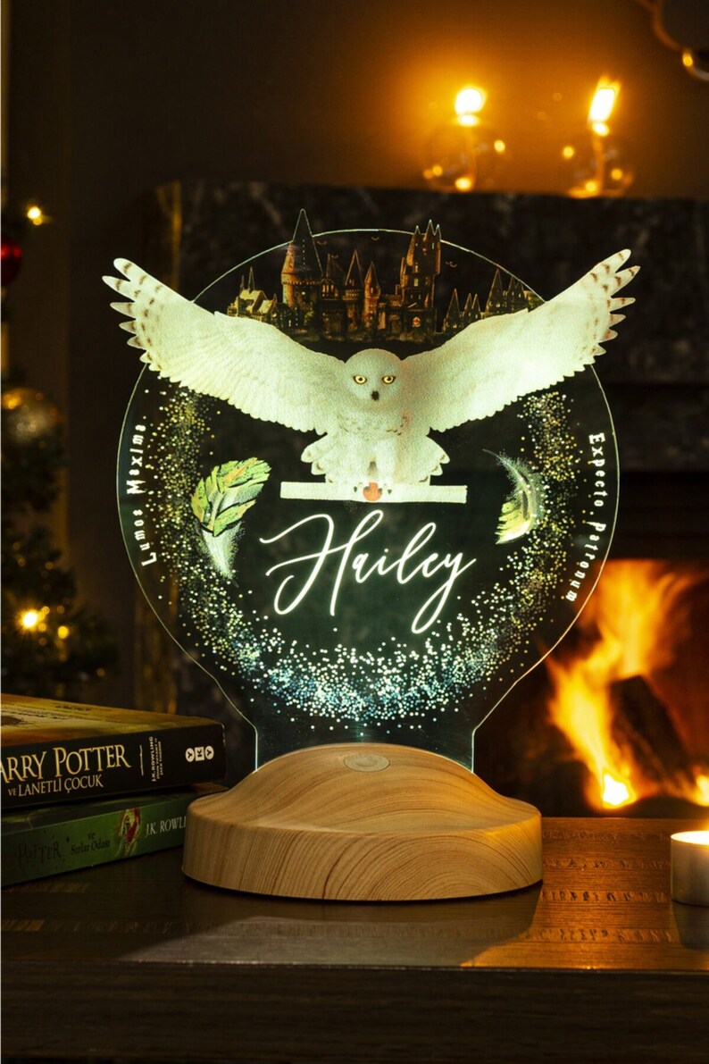 Harry Potter, Hogwarts Hedwig 3d Led Light, Special Gift Etsy